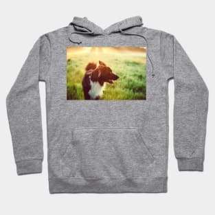 Happy dog Hoodie